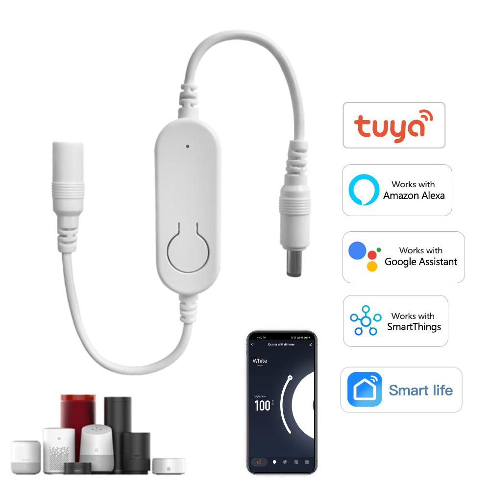 DC12V-24V Tuya Wifi LED Strip  - đánh giá và giá Smart Garden Light Controller