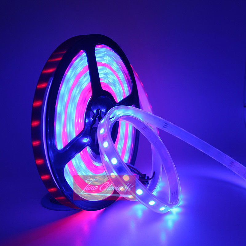 DC12V 5M Đuổi Ước Mơ Ma Thuật  - đánh giá và giá Smart Garden Diy