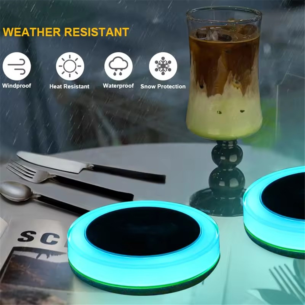 Solar LED Water Float Light Ou - đánh giá và giá Smart Garden Light Controller