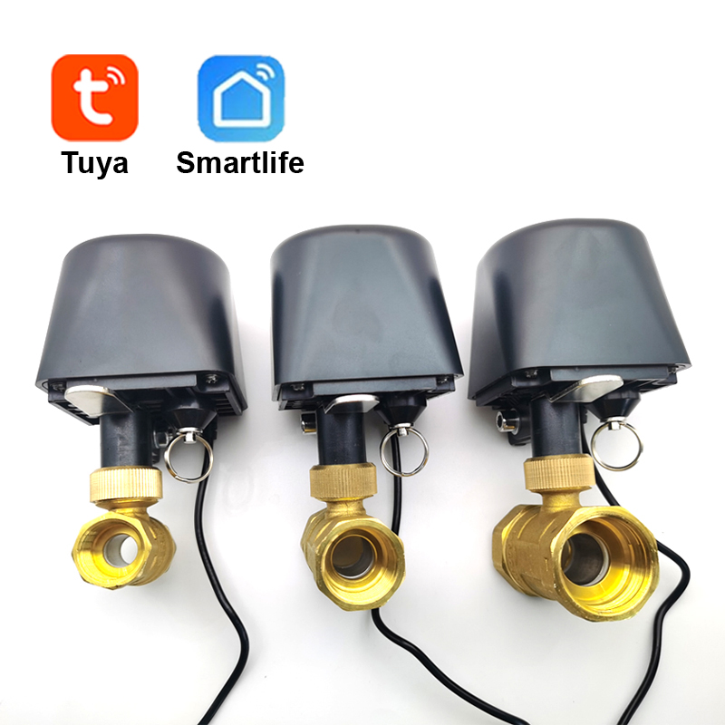 Tuya WiFi or Zigbee Water Valv - đánh giá và giá Smart Garden Tap